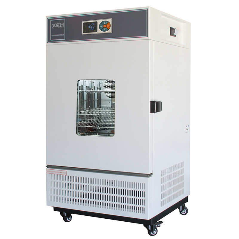 Lab Mold Incubator 500L(0-60℃)